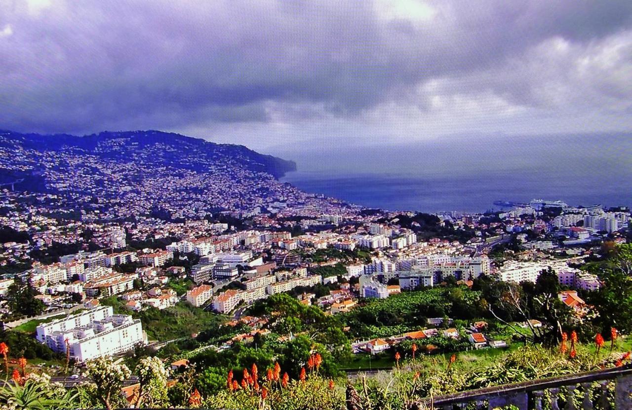 Apartment - The Historical Center Of Funchal In Alojamento Local Ngoại thất bức ảnh