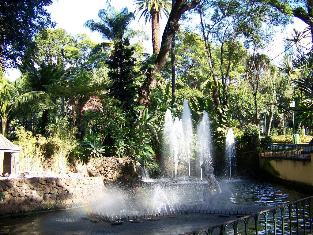 Apartment - The Historical Center Of Funchal In Alojamento Local Ngoại thất bức ảnh