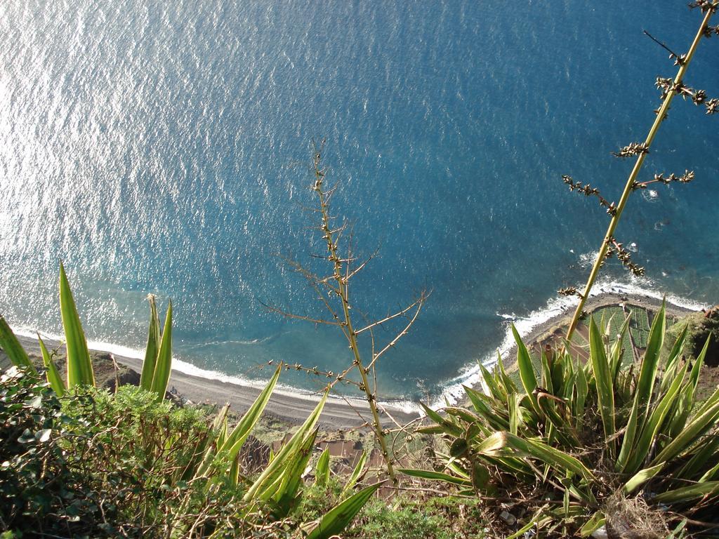 Apartment - The Historical Center Of Funchal In Alojamento Local Ngoại thất bức ảnh