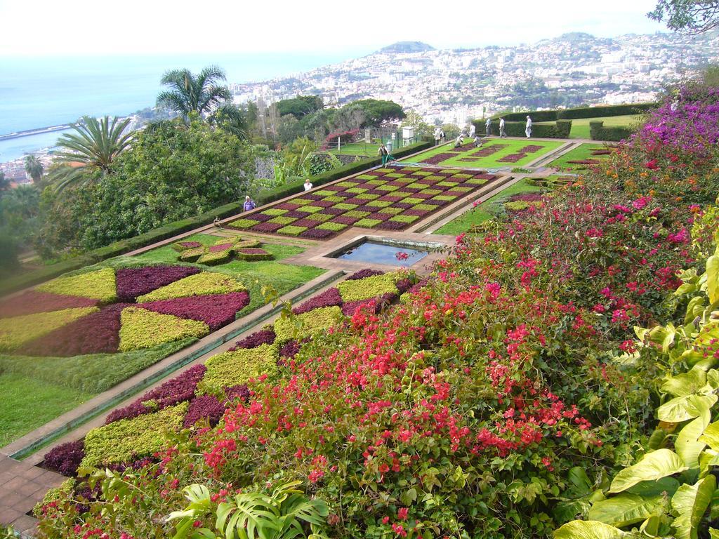 Apartment - The Historical Center Of Funchal In Alojamento Local Ngoại thất bức ảnh