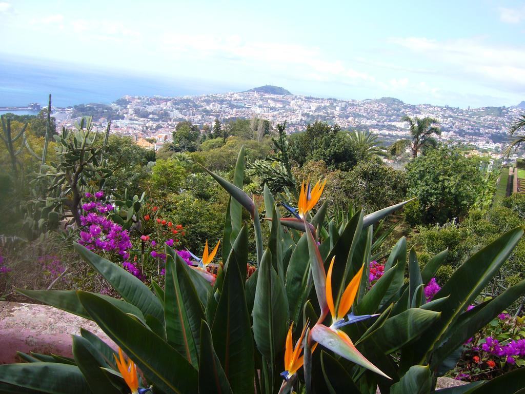 Apartment - The Historical Center Of Funchal In Alojamento Local Ngoại thất bức ảnh
