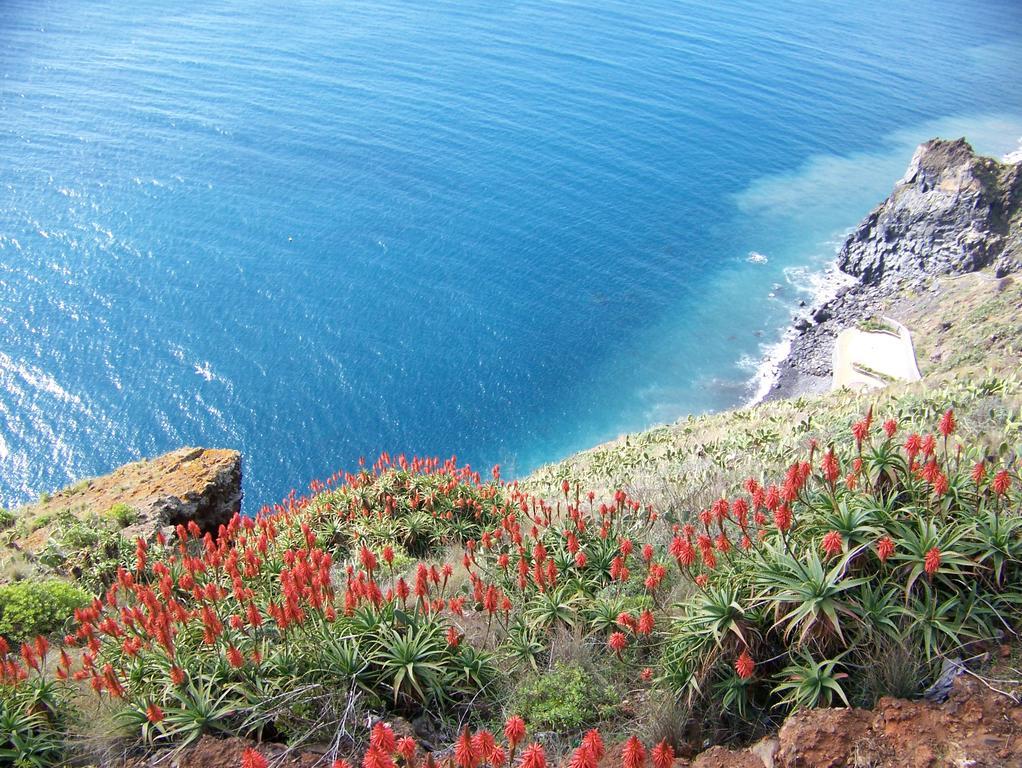 Apartment - The Historical Center Of Funchal In Alojamento Local Ngoại thất bức ảnh