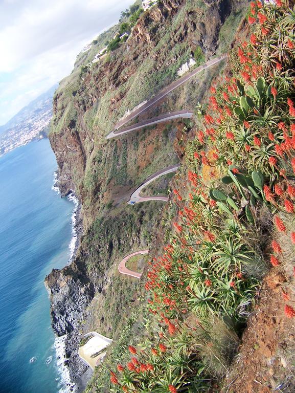 Apartment - The Historical Center Of Funchal In Alojamento Local Ngoại thất bức ảnh