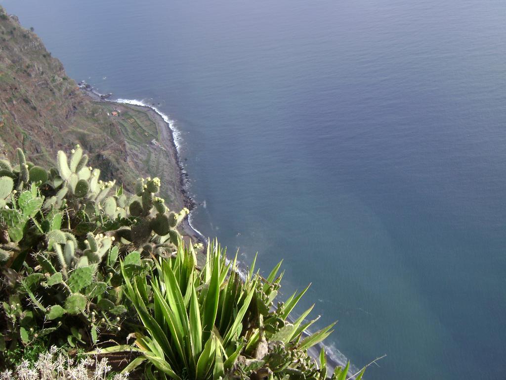 Apartment - The Historical Center Of Funchal In Alojamento Local Ngoại thất bức ảnh